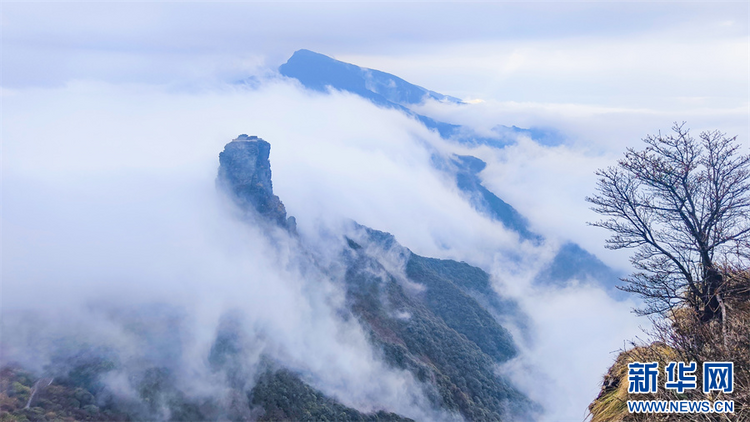 探秘冬日梵凈山