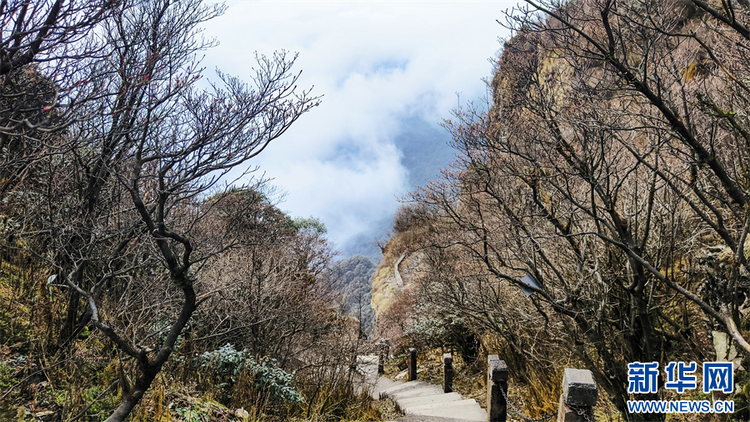 探秘冬日梵凈山