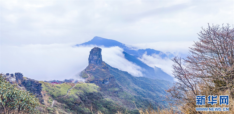 探秘冬日梵凈山