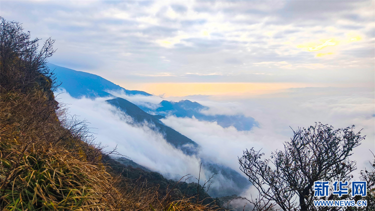 探秘冬日梵凈山