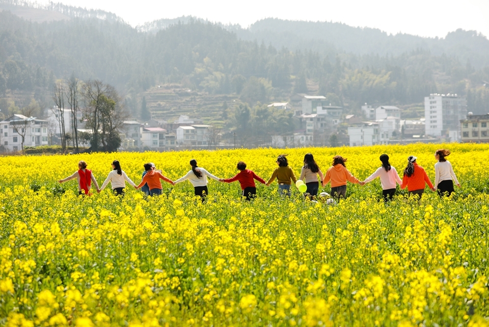 貴州天柱：油菜花開引客來_fororder_游客在鳳城大壩油菜花田間踏青賞花3.JPG