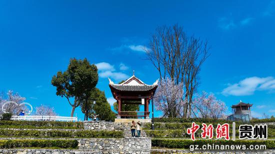 3月5日古鎮(zhèn)春日風(fēng)景游客逛涼亭。  李靈攝