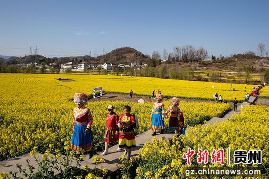 2024年3月11日，游客在貴州省黔西市洪水鎮(zhèn)解放村觀賞油菜花。