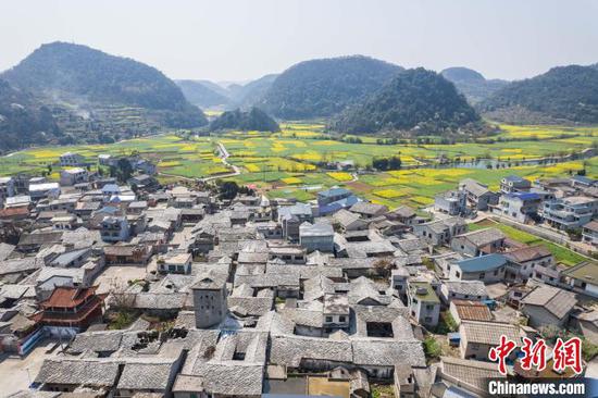 3月21日，航拍鮑家屯村屯堡建筑與綻放的油菜花田相映成趣。唐哲 攝