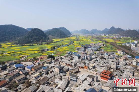 3月21日，航拍鮑家屯村屯堡建筑與綻放的油菜花田相映成趣。唐哲 攝