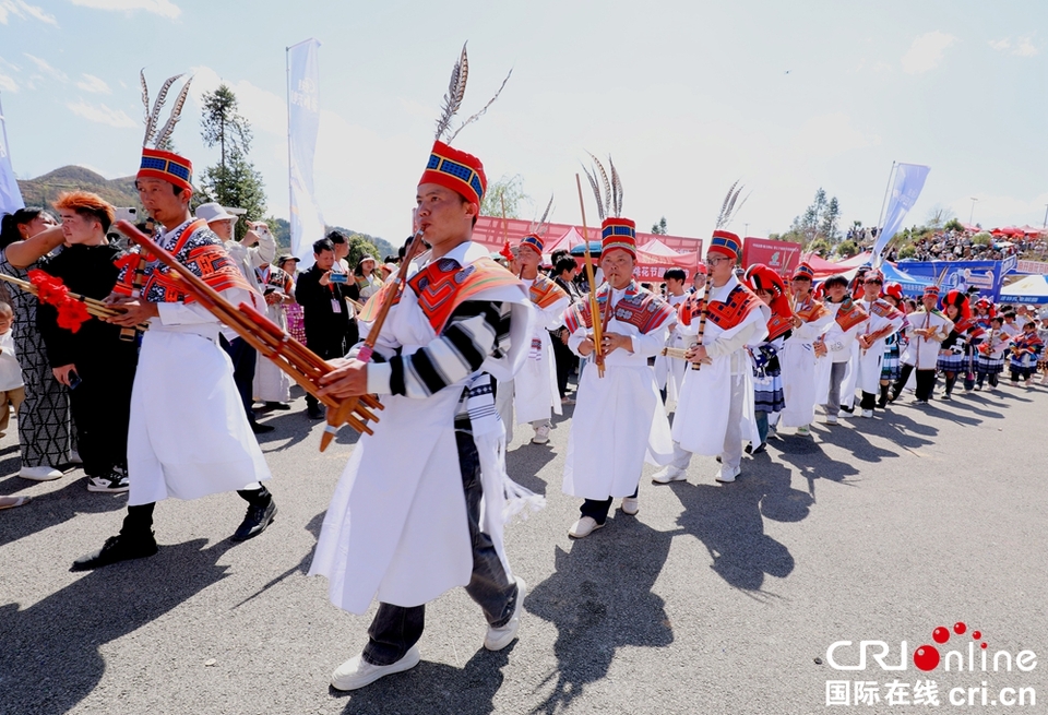 貴州鐘山：萬人齊聚跳花樹祭祖先_fororder_微信圖片_20240325164119