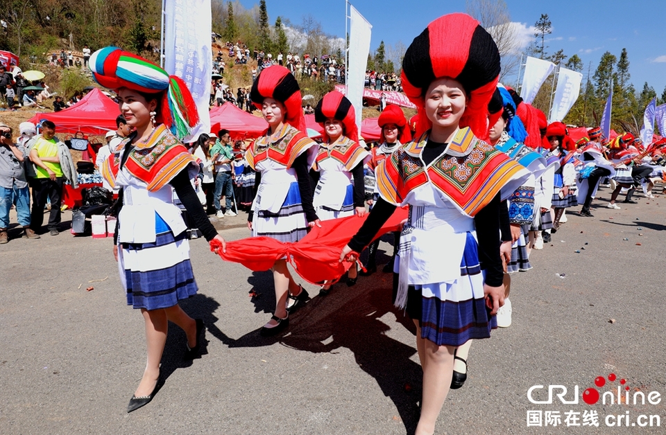 貴州鐘山：萬人齊聚跳花樹祭祖先_fororder_微信圖片_20240325164228