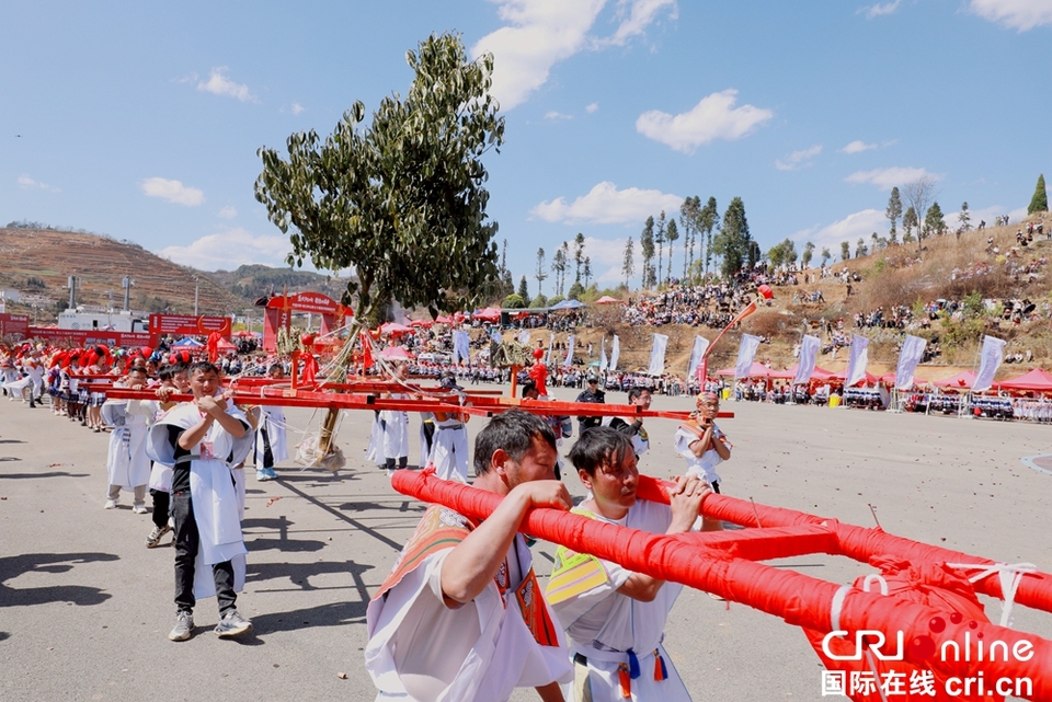 貴州鐘山：萬人齊聚跳花樹祭祖先_fororder_微信圖片_20240325164111