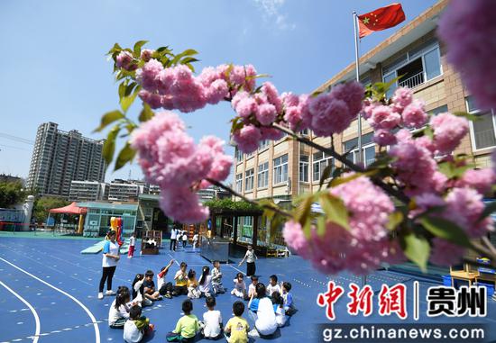 貴陽：花開爛漫 春滿校園