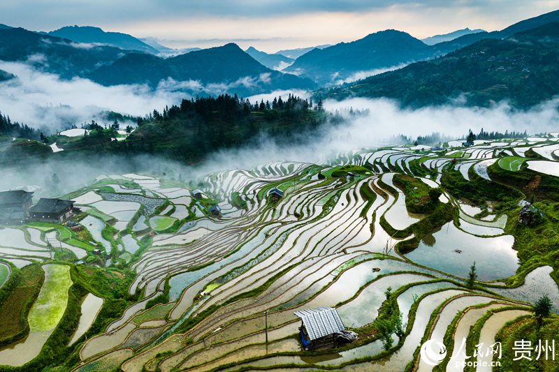 航拍貴州加榜梯田：云霧繚繞 風(fēng)景如畫(huà)