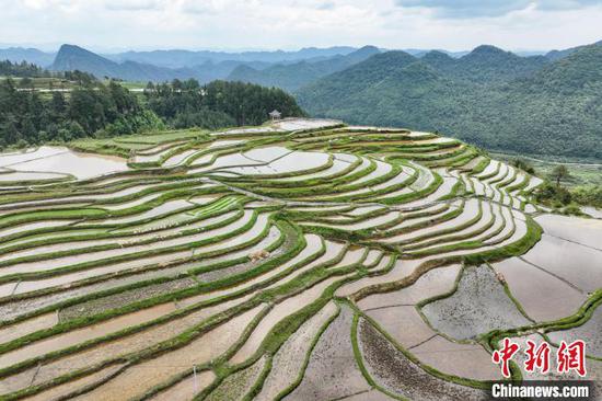 貴州貴定臘利梯田層層疊疊 宛如大地調(diào)色板