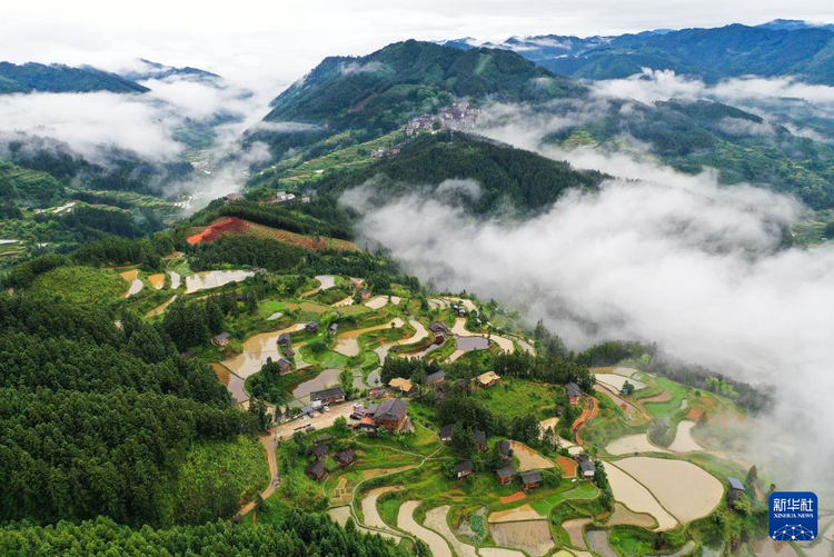 貴州黎平：梯田新雨后 美景入畫來