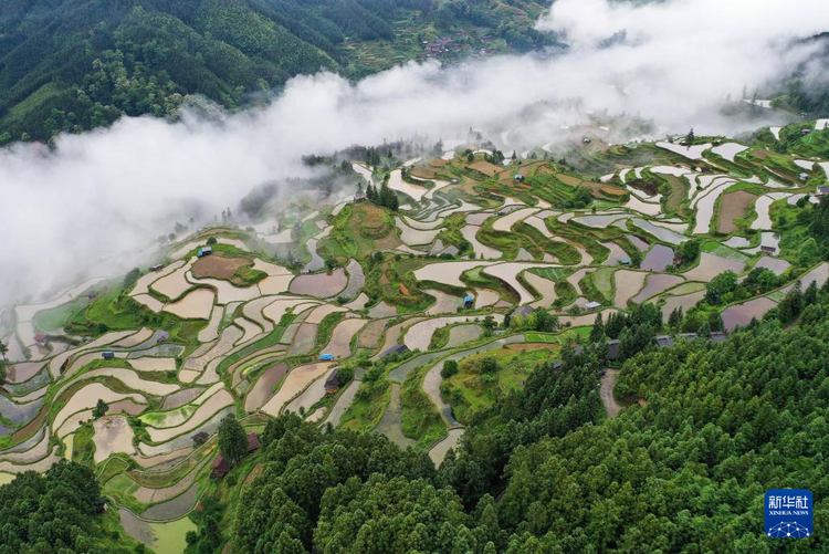 貴州黎平：梯田新雨后 美景入畫來