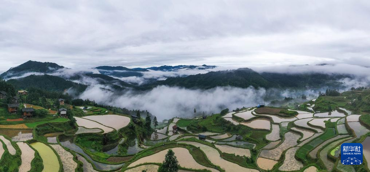 貴州黎平：梯田新雨后 美景入畫來