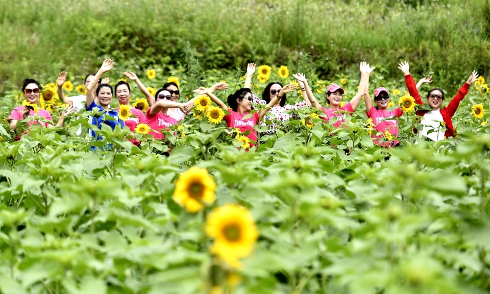 貴州六盤水市鐘山區(qū)雙戛鄉(xiāng)絢麗花海引客來