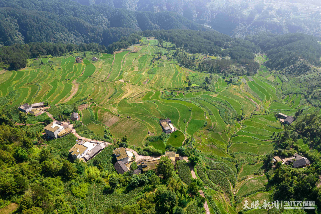 黔西：青山環(huán)抱梯田美