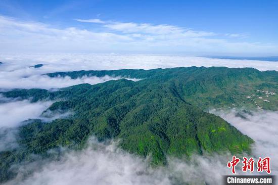 7月2日，地處烏蒙山腹地的貴州省黔西市中坪鎮(zhèn)順石林場，層巒疊翠、云霧繚繞，“林?！迸c“云?！毕嘤常尸F(xiàn)出一幅幅生態(tài)美景。史開心 攝