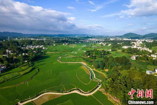 7月6日，航拍黔西市金碧鎮(zhèn)鏵口寨社區(qū)的高標(biāo)準(zhǔn)農(nóng)田綠意盎然。史開(kāi)心 攝