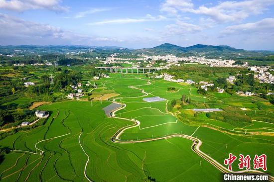 貴州黔西：盛夏田園 綠意盎然