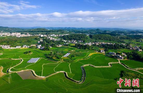 7月6日，航拍黔西市金碧鎮(zhèn)鏵口寨社區(qū)高標(biāo)準(zhǔn)農(nóng)田綠意盎然。史開(kāi)心 攝