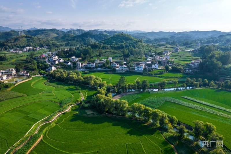 貴州黔西：夏日鄉(xiāng)村美如畫