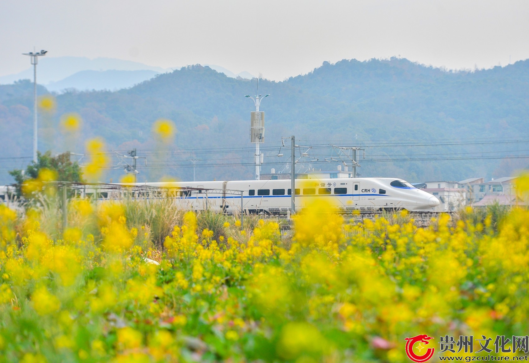 貴州從江：花香伴旅途