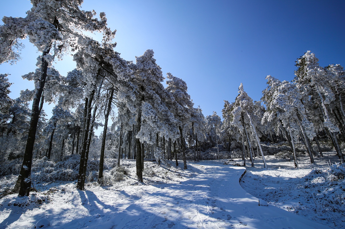 繪就絕美冬日畫卷 貴州六盤水：雪后初霽引客來