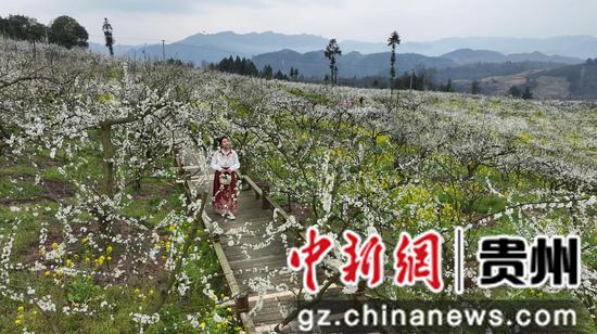 貴州鎮(zhèn)遠(yuǎn)古城舉辦第二屆“花語節(jié)”暨旅游宣傳招商推介活動(dòng)