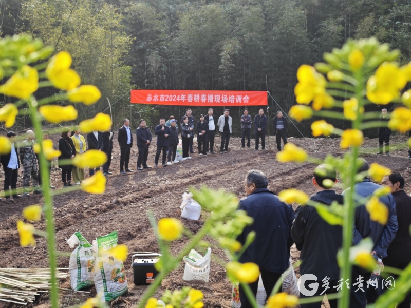 貴州赤水：田間地頭好光景 不誤農(nóng)時(shí)不負(fù)春