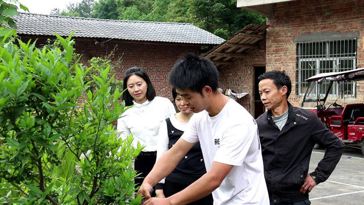 技術(shù)人員給村民介紹剪枝技術(shù)。